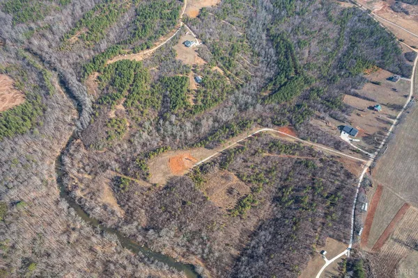 a view of a dry yard with lots of trees