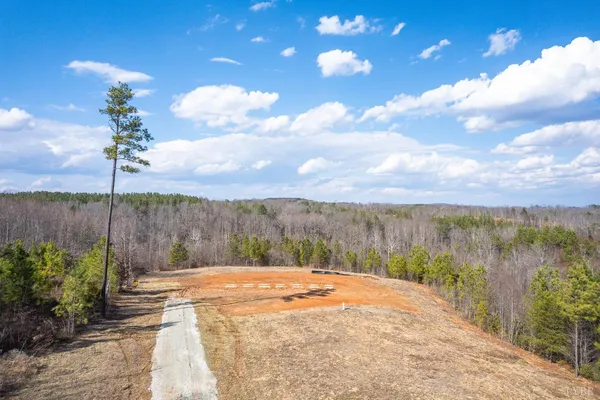a view of a yard with a tree
