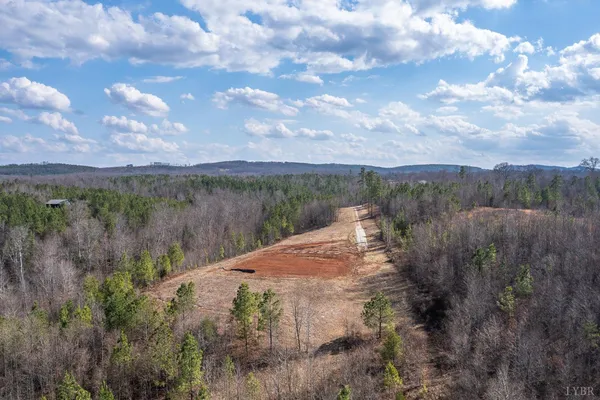 a view of a dry yard with lots of trees