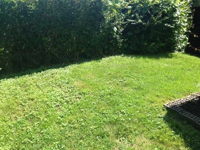 526 Freeport Road Blawnox, PA 15238 - Photo 9 of 10 Yard/Garden.