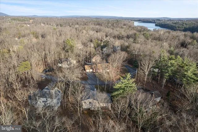a view of a city with lush green forest
