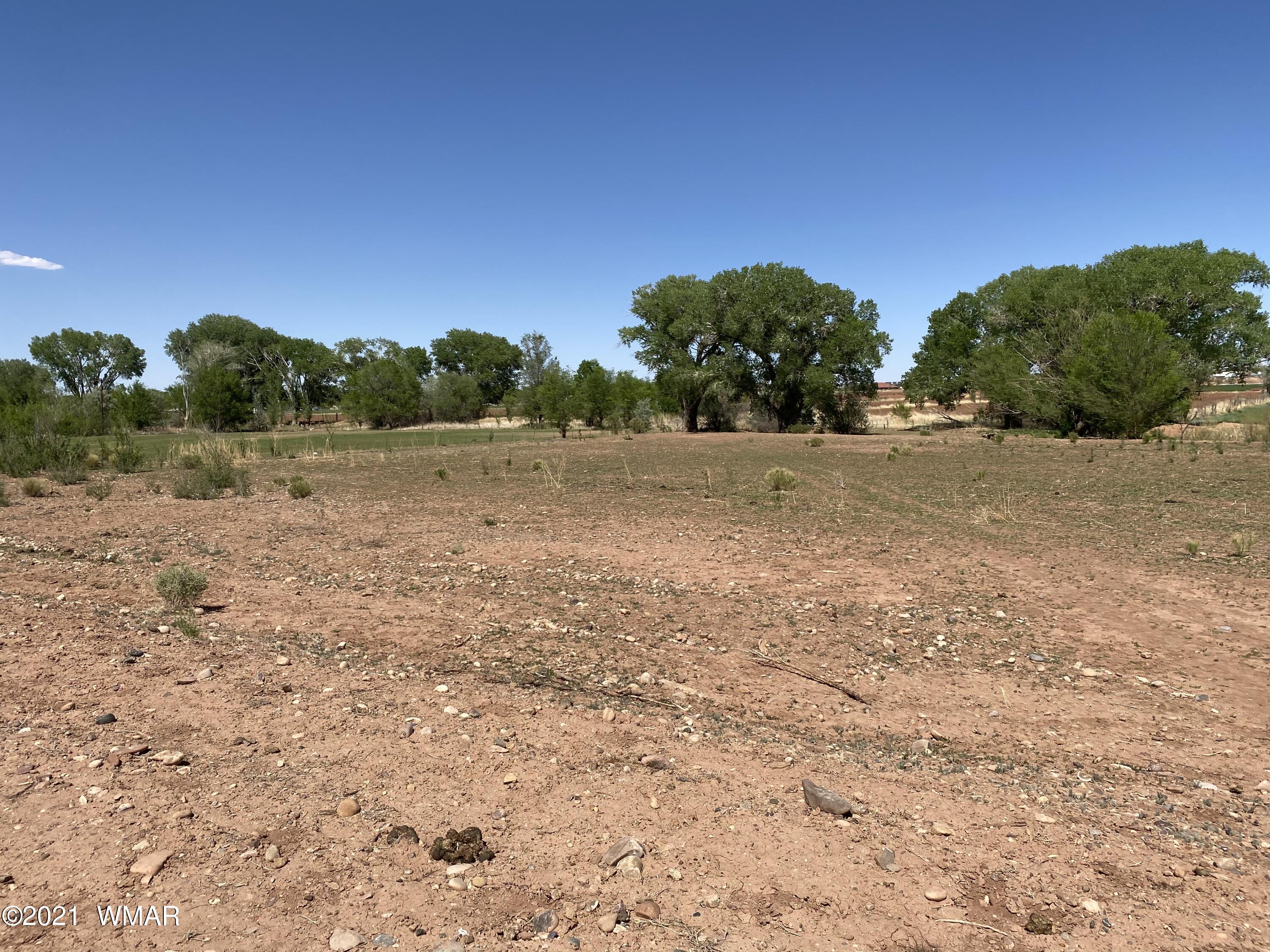 611 South Main Street Taylor, AZ 85939 - Photo 14 of 15