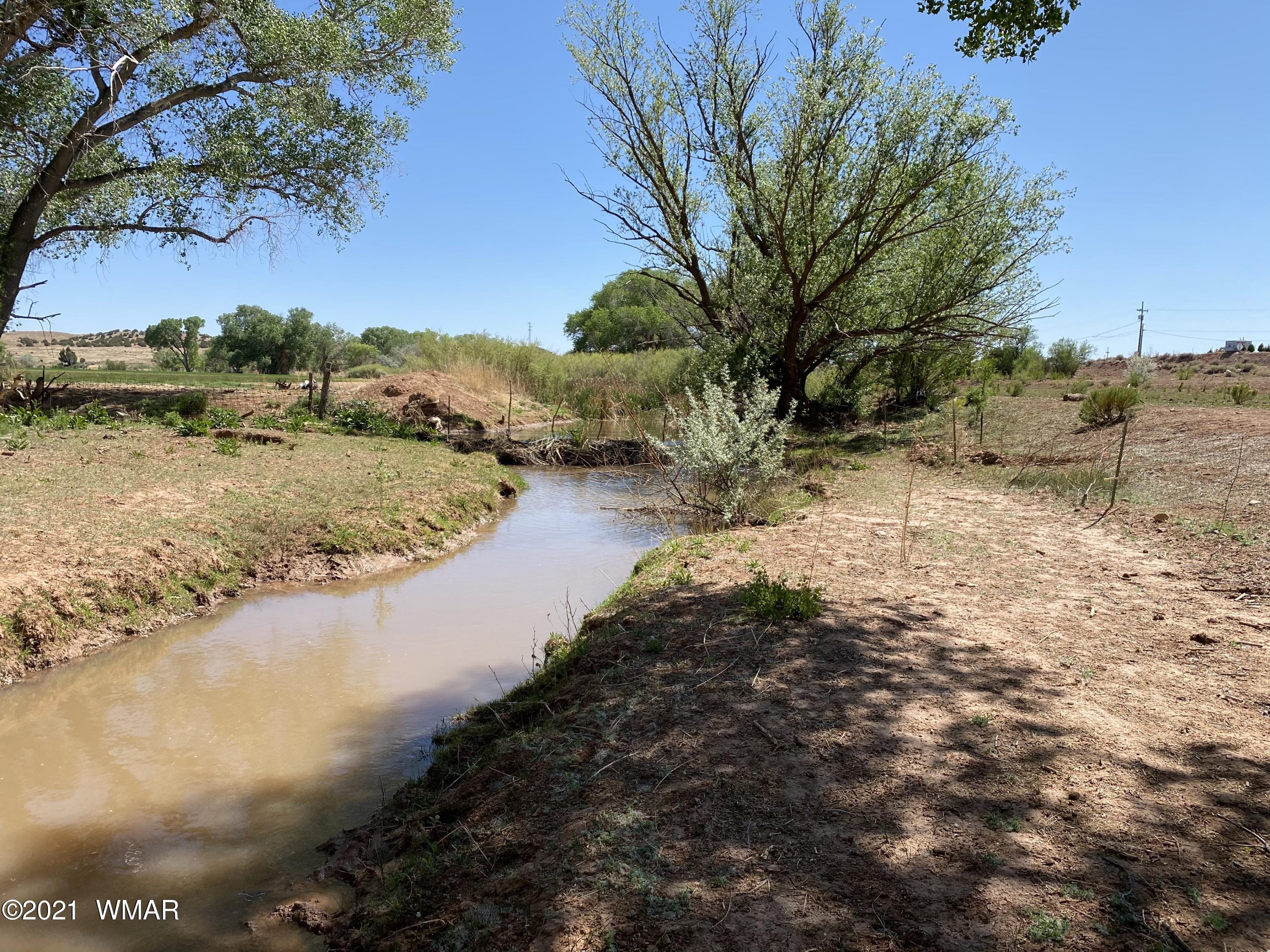 611 South Main Street Taylor, AZ 85939 - Photo 4 of 15