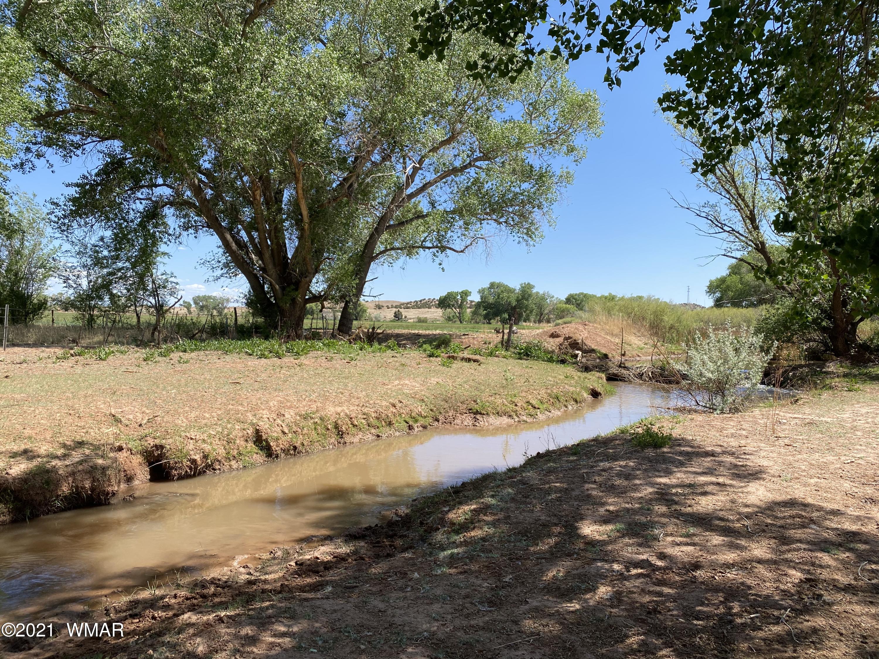 611 South Main Street Taylor, AZ 85939 - Photo 5 of 15