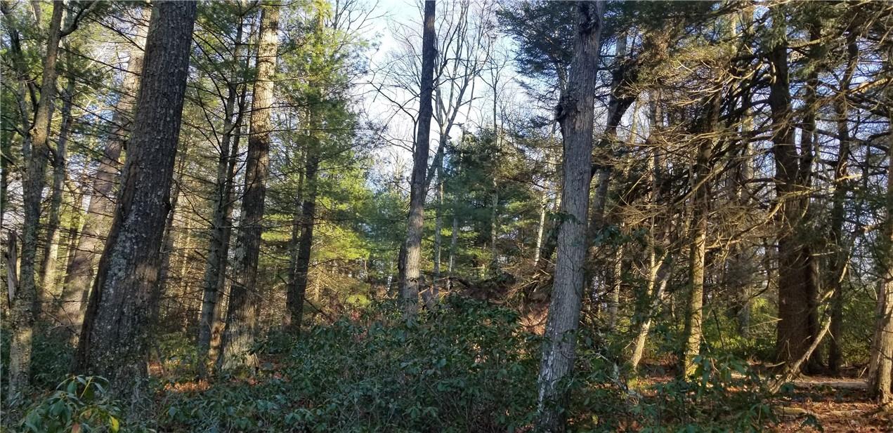 Lot 11 County Rd 26 Narrowsburg, NY 12764 - Photo 1 of 1 Gallery Image 1