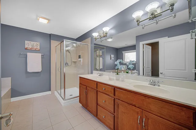 $575,000 | 25216 Round Barn Road, Plainfield, IL 60585