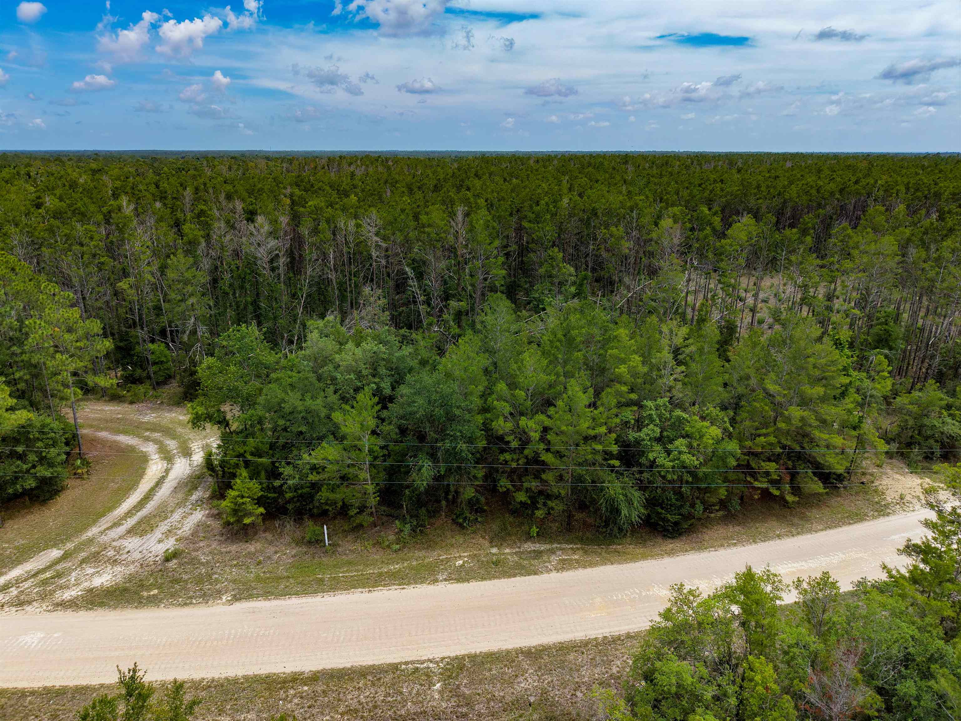 Tbd Ocean Pond Road Perry, FL 32348 - Photo 4 of 21