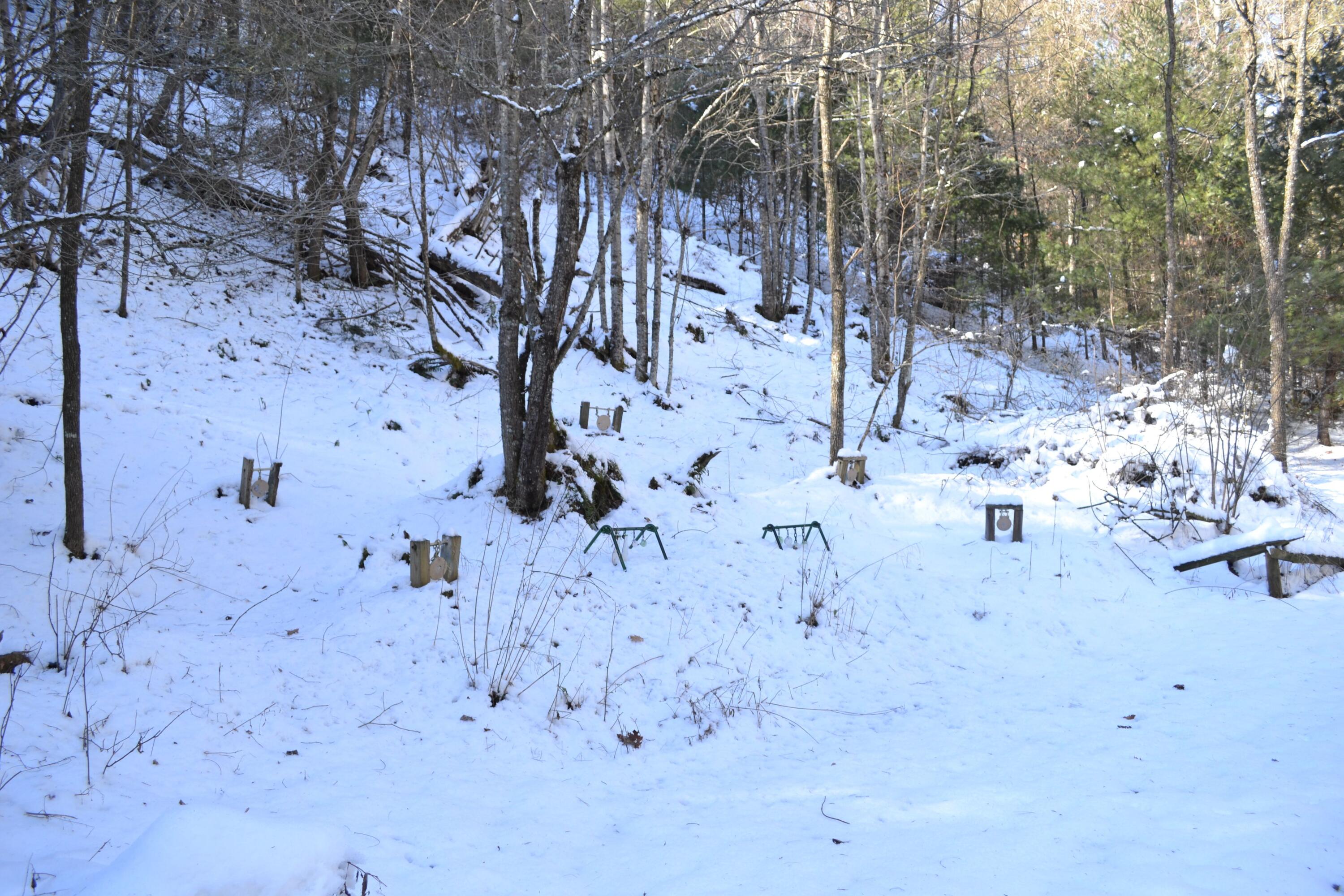 85 Green Acres Road Marlinton, WV 24954 - Photo 7 of 85 Gallery Image 7