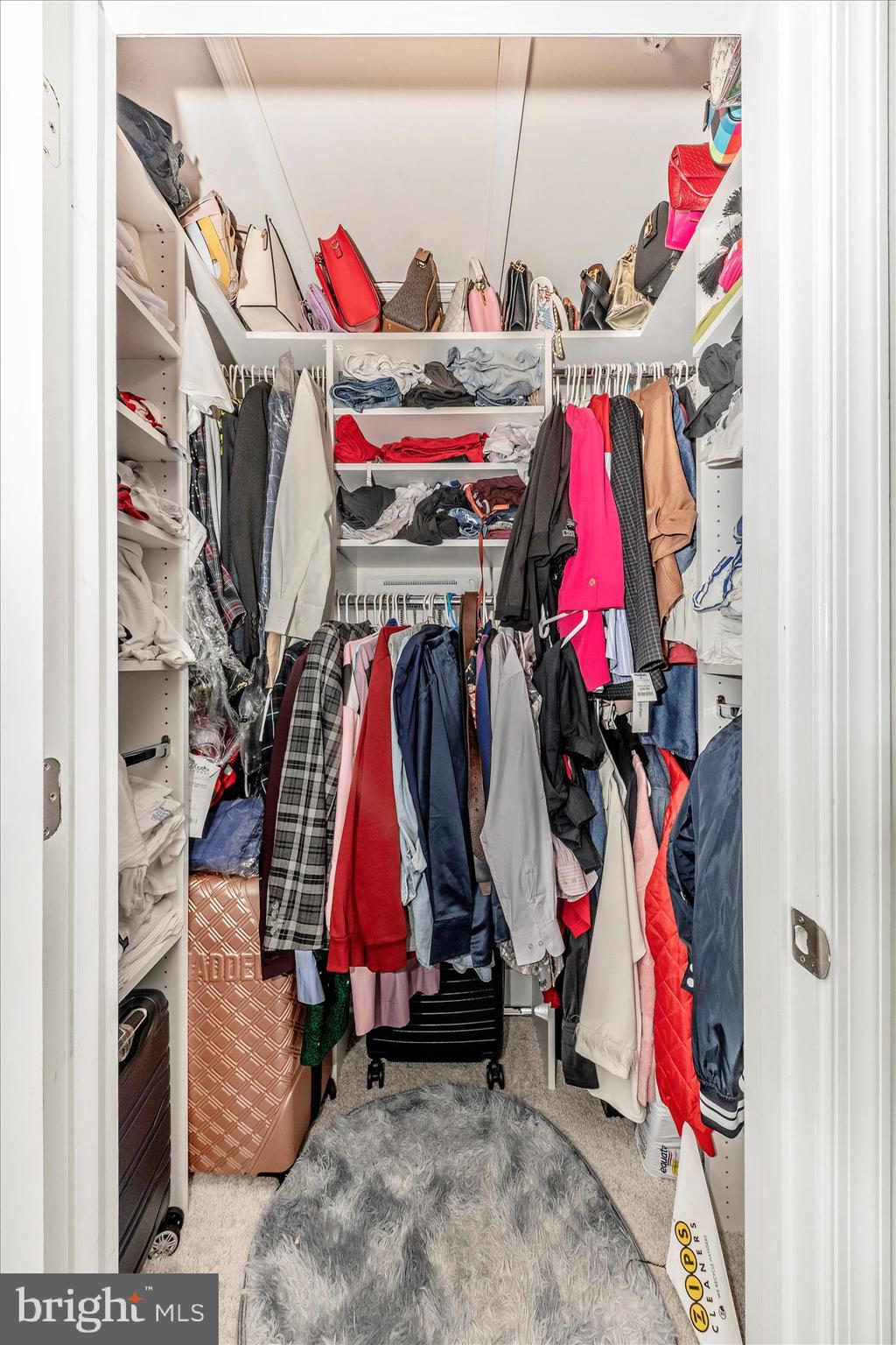 8648 Walter Martz Road Frederick, MD 21702 - Photo 29 of 50 a view of walk in closet with clothes