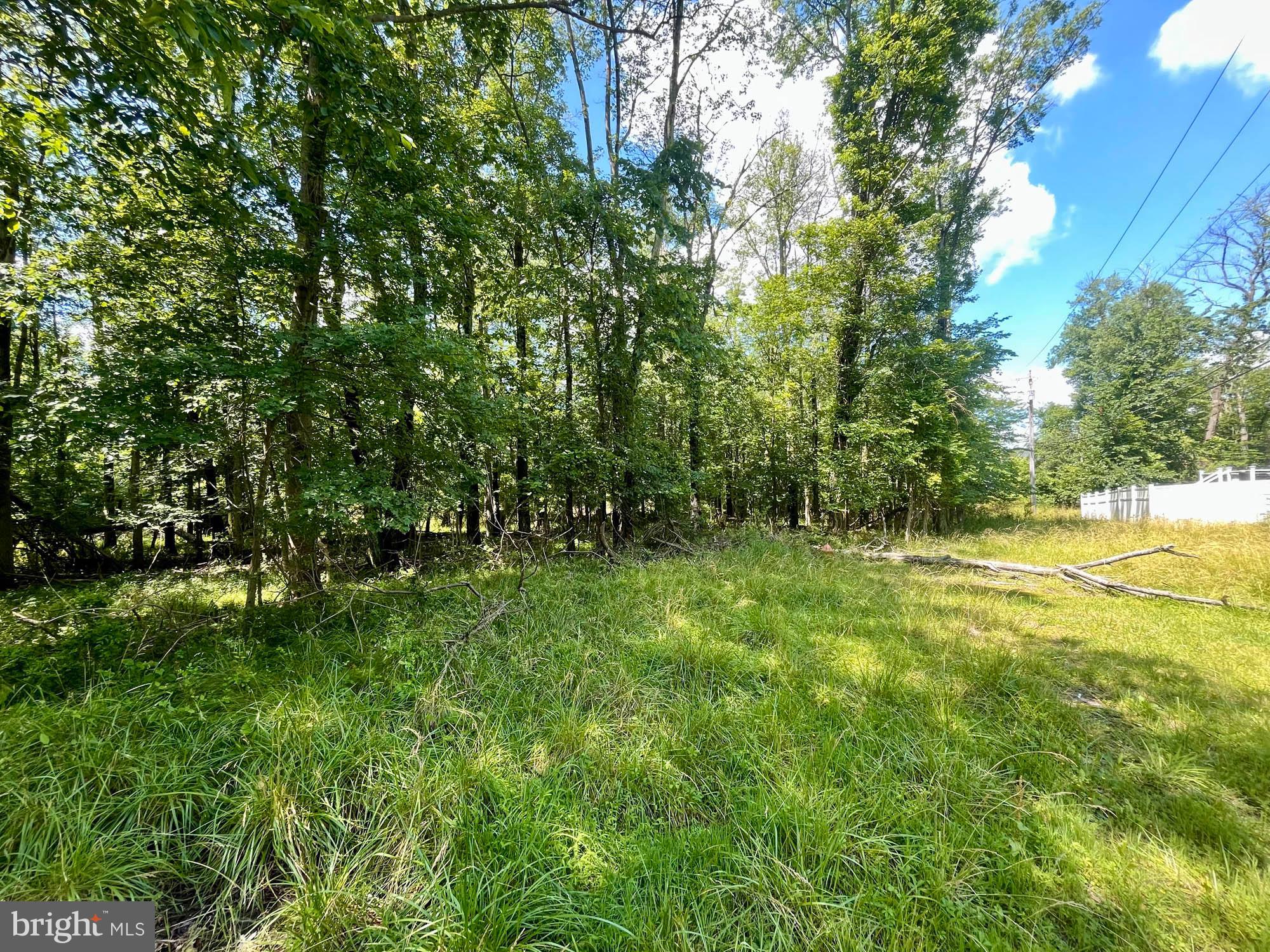 4835 Valley Forge Road Randallstown, MD 21133 - Photo 4 of 7 a view of yard with green space