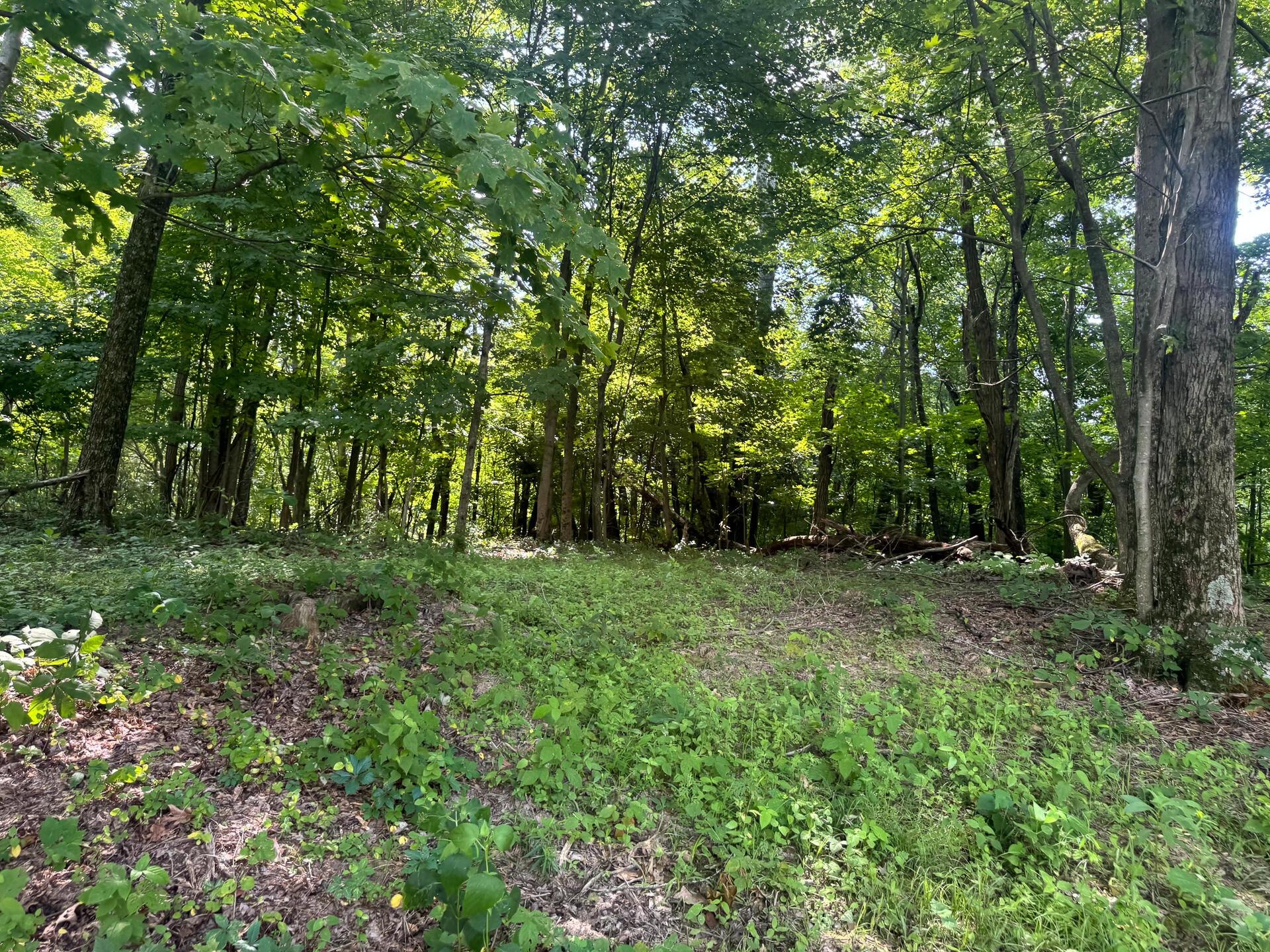 100 Golf Course Road, Unit TRACT 12 SKYLINE ACRES) Waverly, OH 45690 - Photo 37 of 44 CT-37