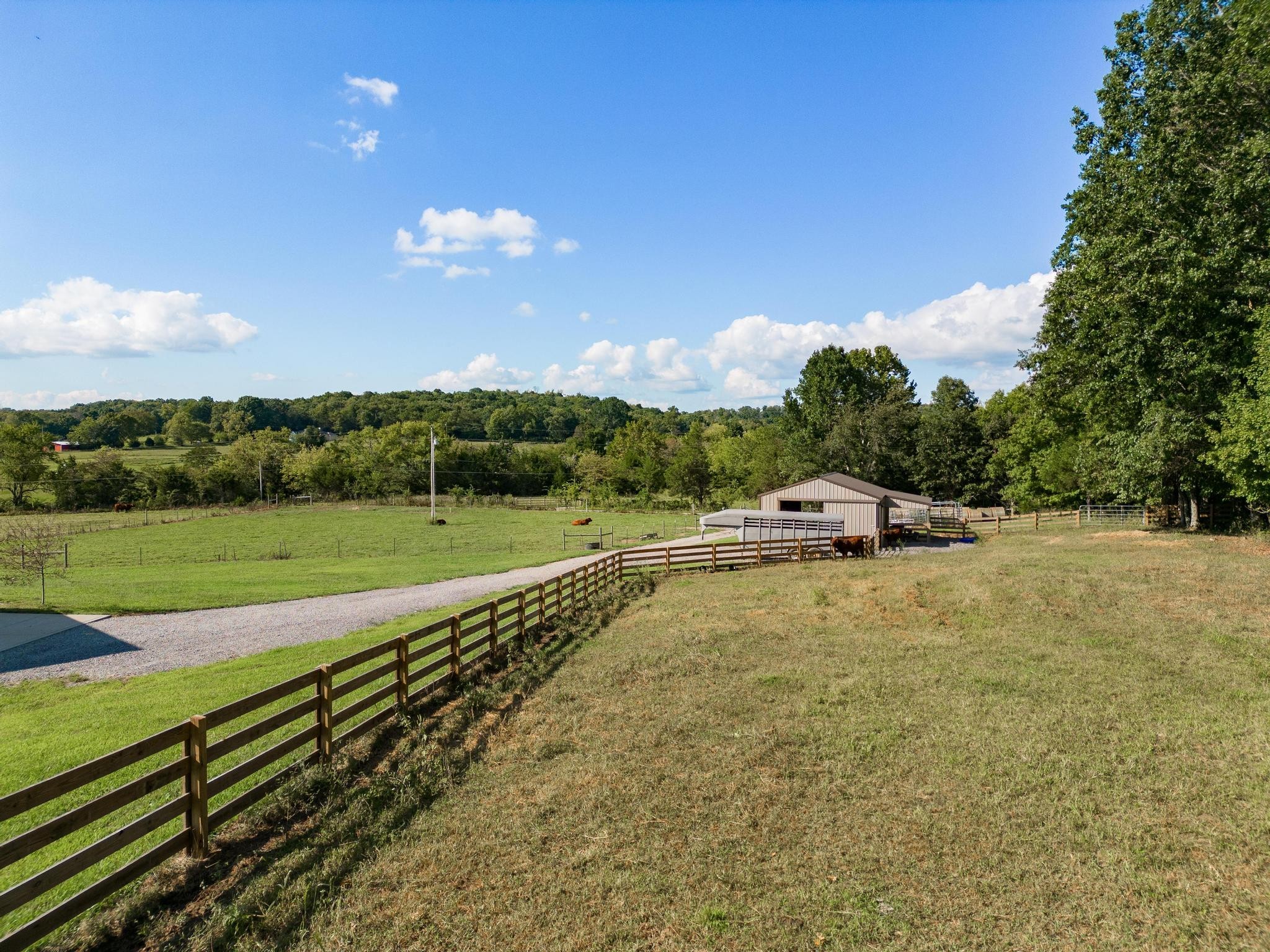 366 Jess Reed Road Readyville, TN 37149 - Photo 30 of 53 Gallery Image 30