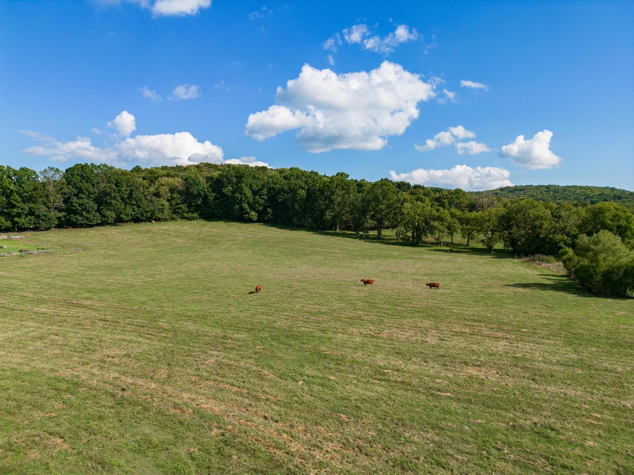 366 Jess Reed Road Readyville, TN 37149 - Photo 37 of 53 Gallery Image 37