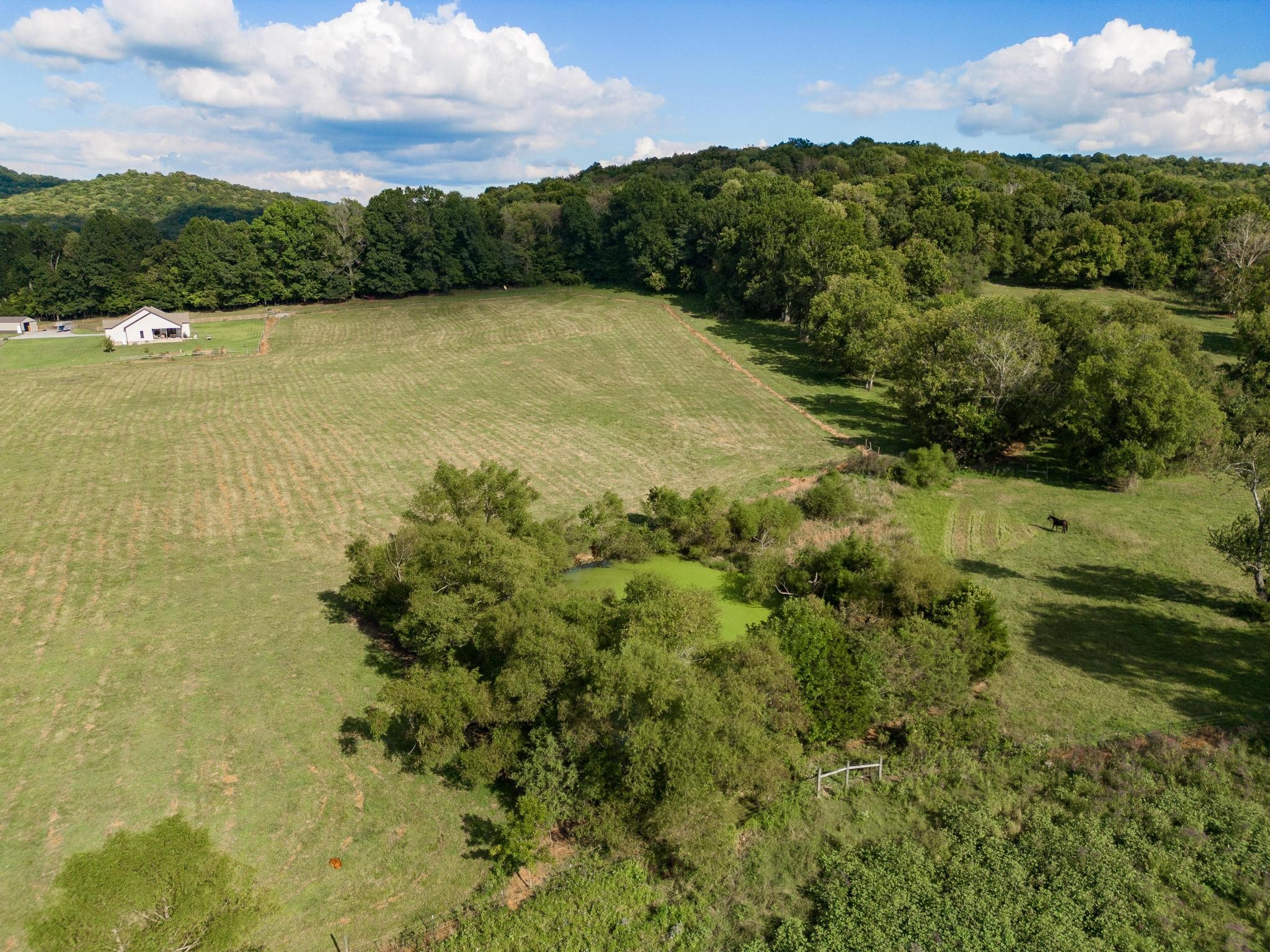 366 Jess Reed Road Readyville, TN 37149 - Photo 39 of 53 Gallery Image 39
