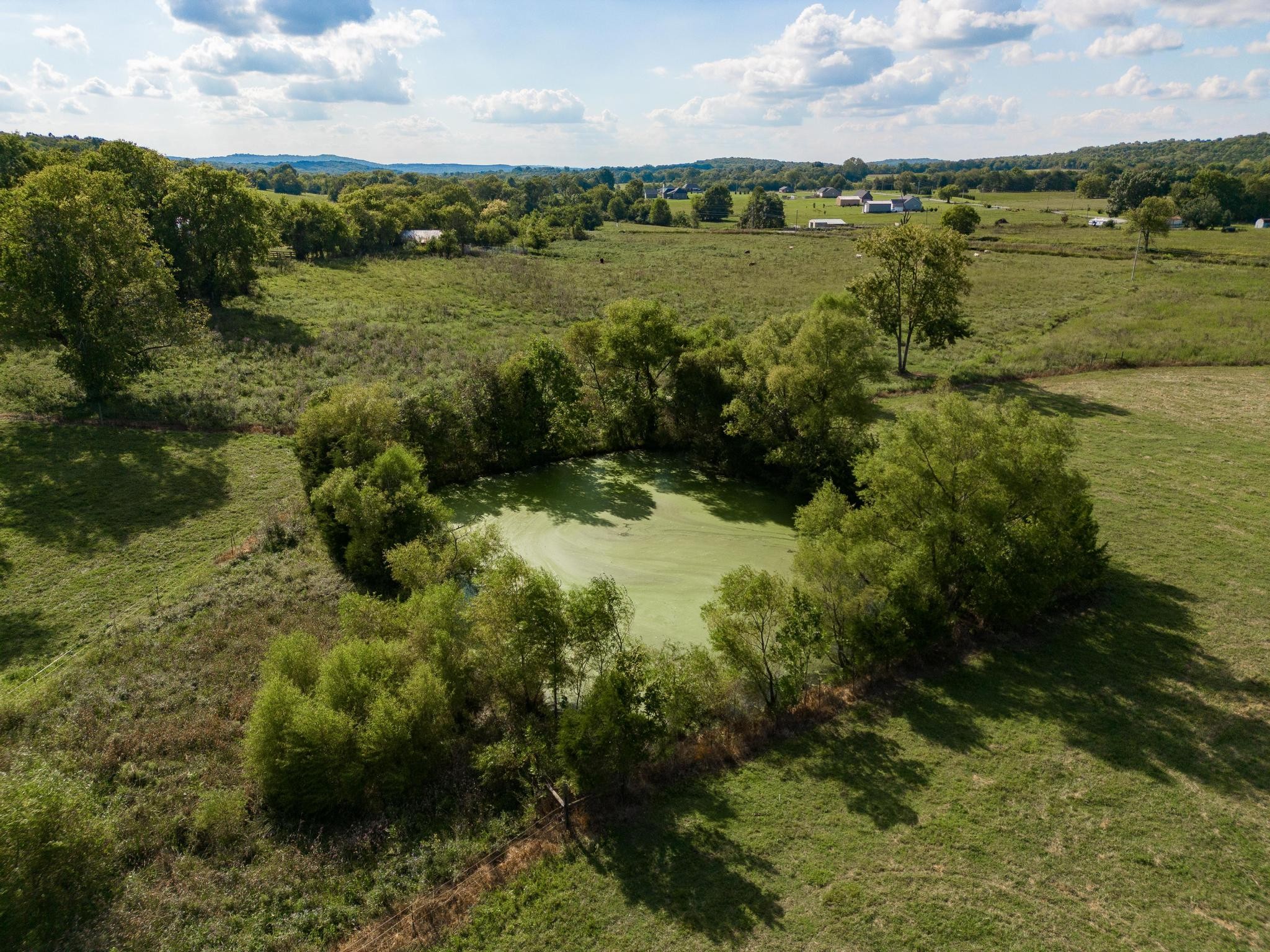366 Jess Reed Road Readyville, TN 37149 - Photo 40 of 53 Gallery Image 40