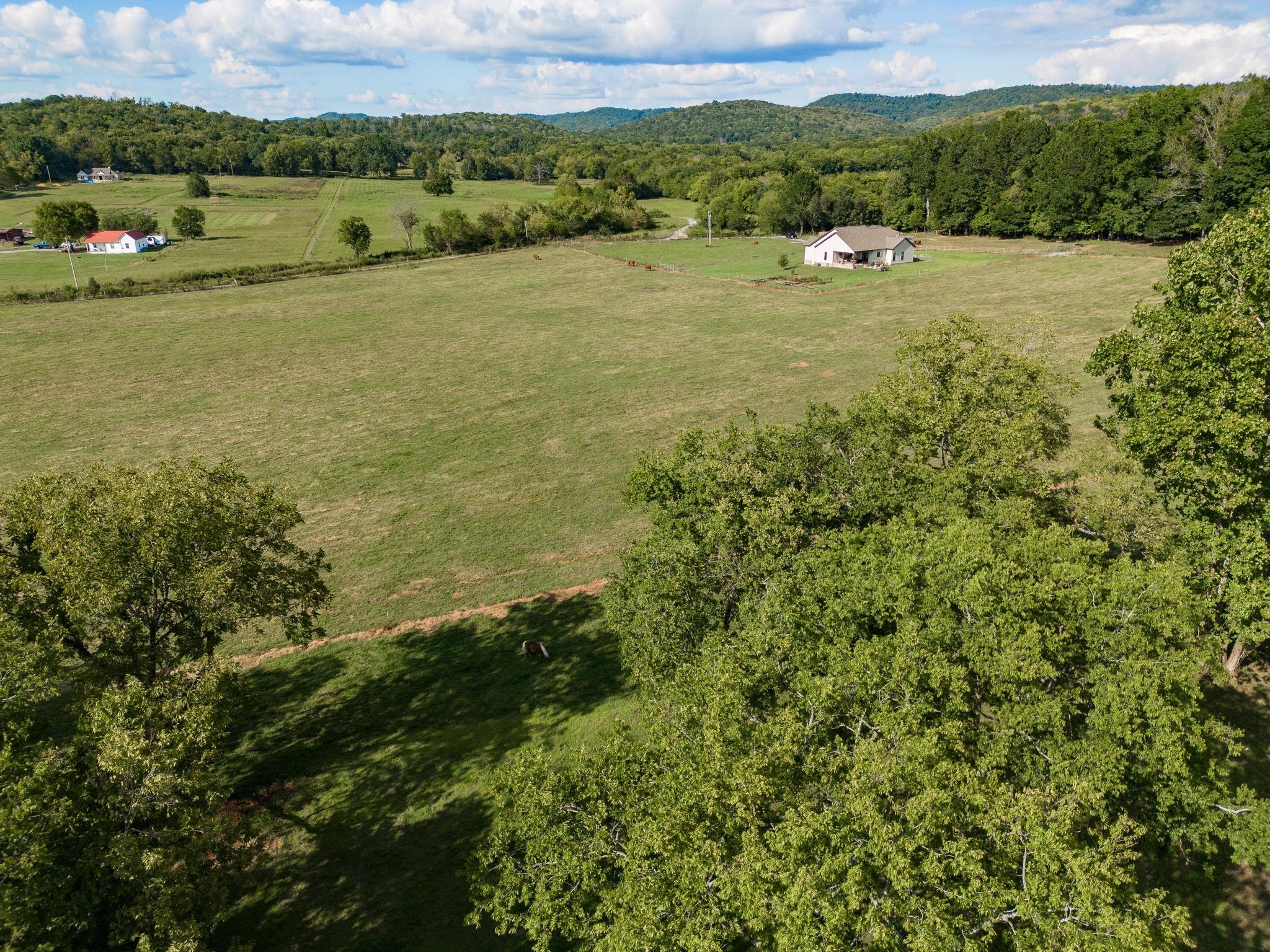366 Jess Reed Road Readyville, TN 37149 - Photo 44 of 53 Gallery Image 44