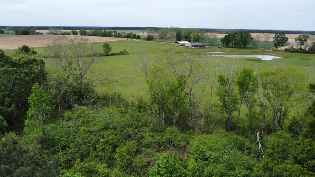 3536 Bill Yance Road Webb, AL 36376 - Photo 12 of 22