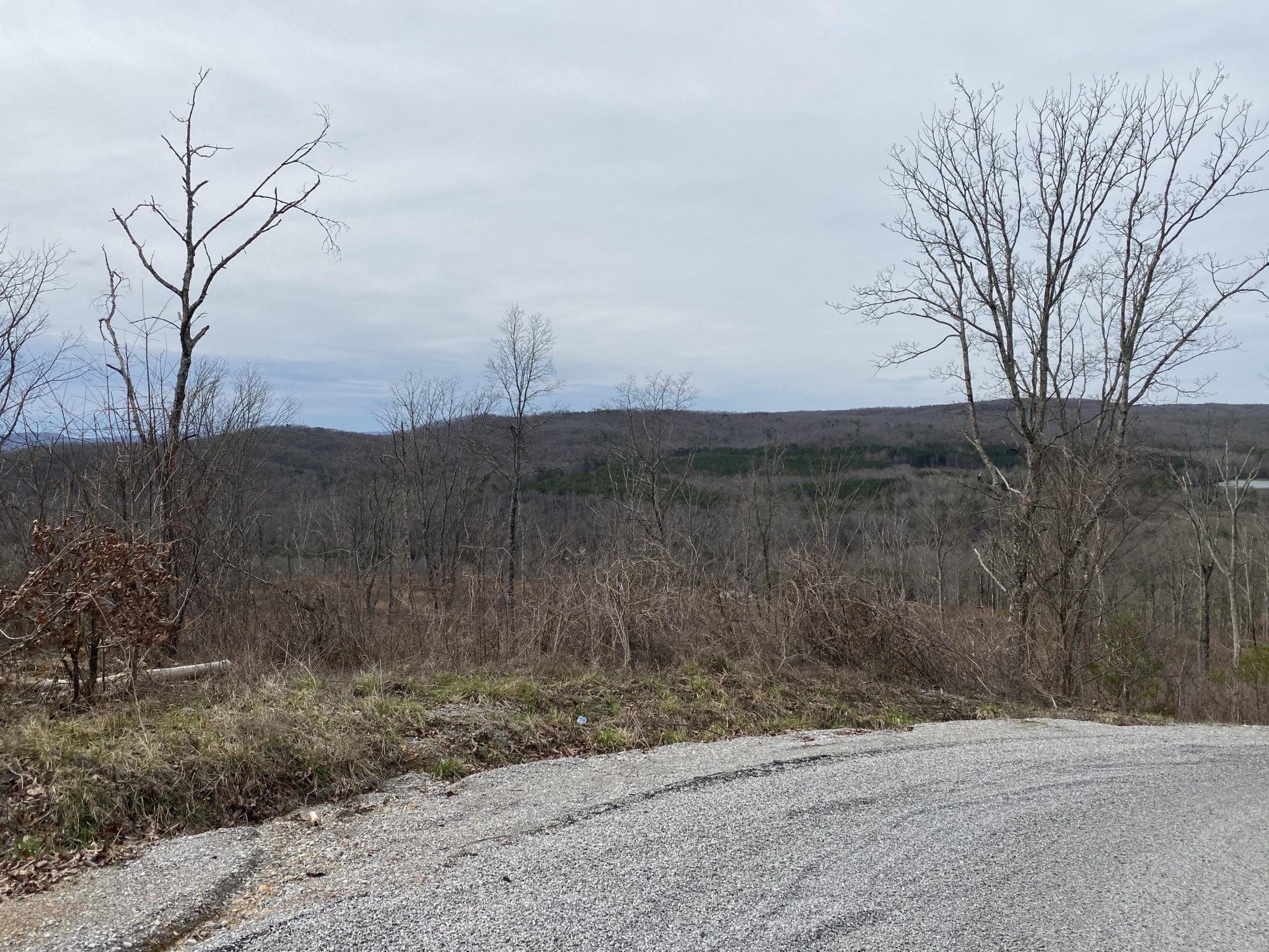 0 Big Spring Gap Road Crossville, TN 38572 - Photo 47 of 48 Gallery Image 47