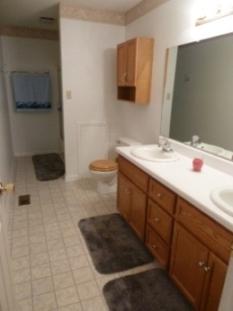 1684 Dugspur Road Callaway, VA 24067 - Photo 8 of 24 Master Bathroom
