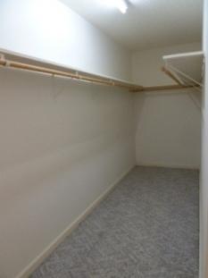 1684 Dugspur Road Callaway, VA 24067 - Photo 9 of 24 Master Walk-in Closet