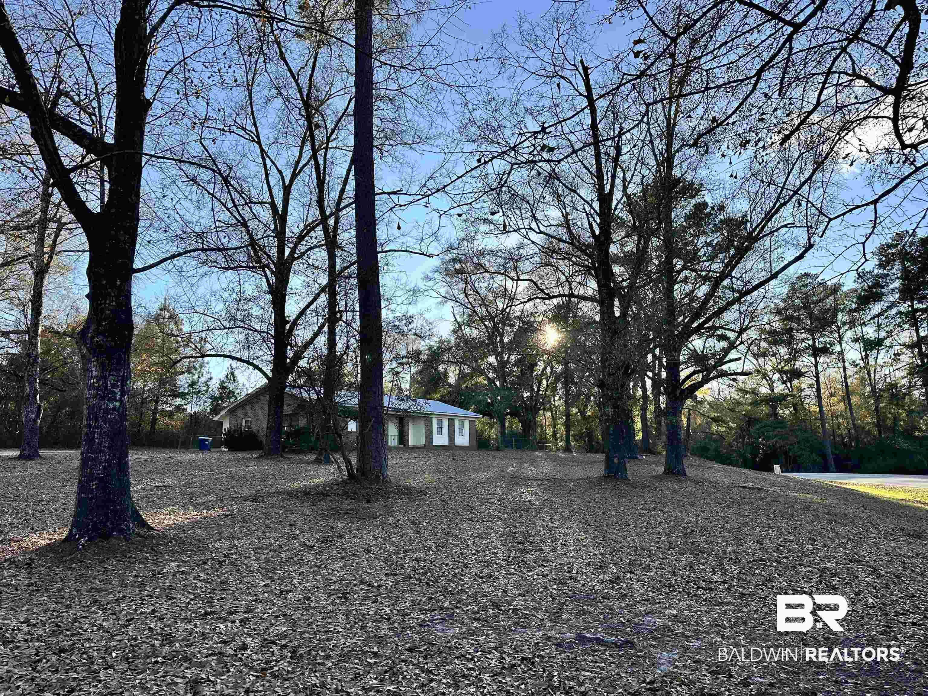 2664 Sowell Road Brewton, AL 36426 - Photo 12 of 12 View of yard