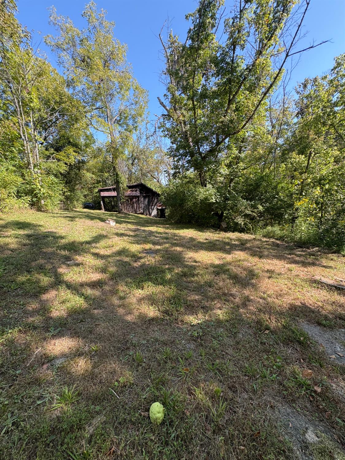 0 West State Road 56 Rising Sun, IN 47040 - Photo 4 of 12