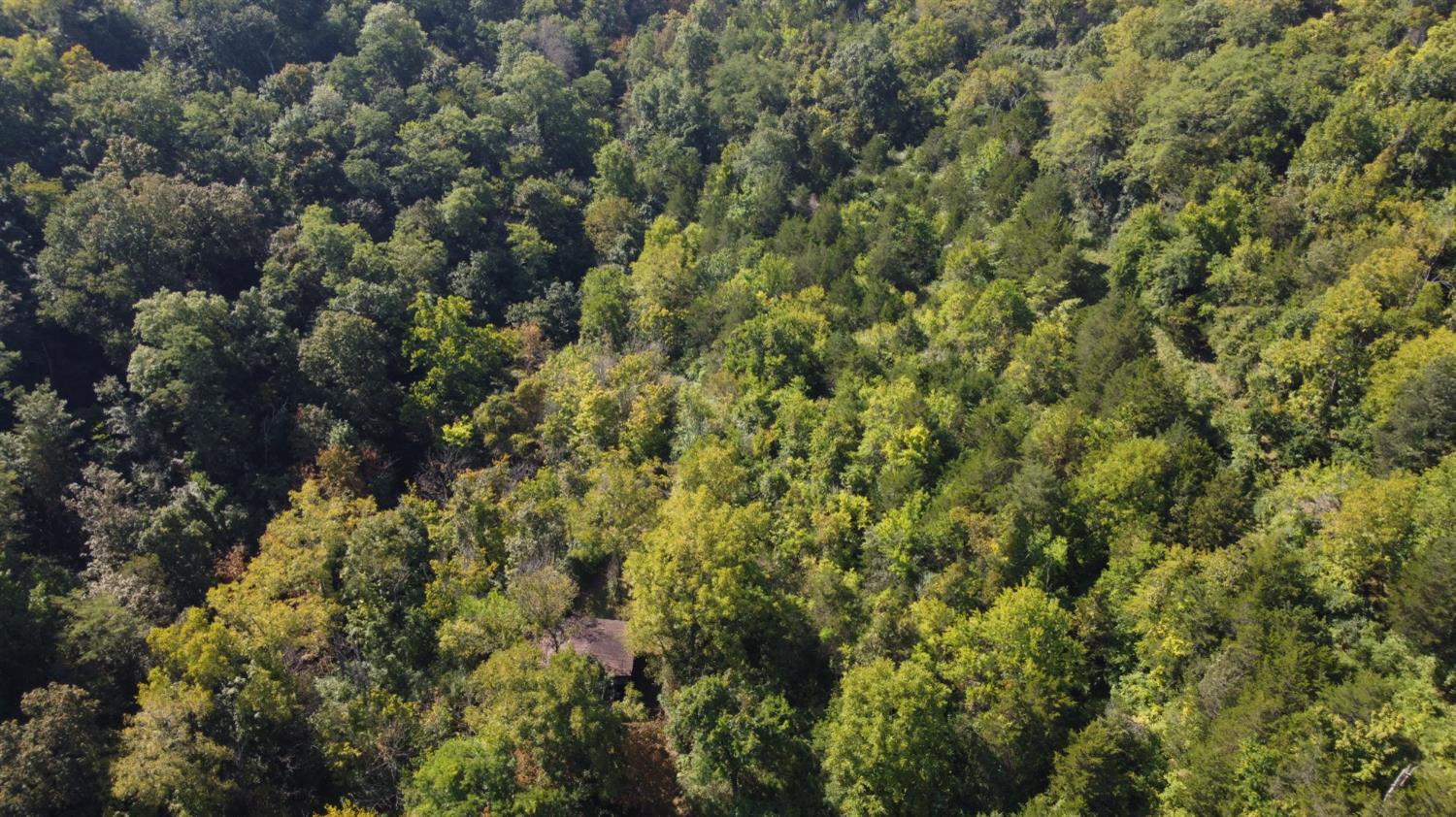 0 West State Road 56 Rising Sun, IN 47040 - Photo 6 of 12