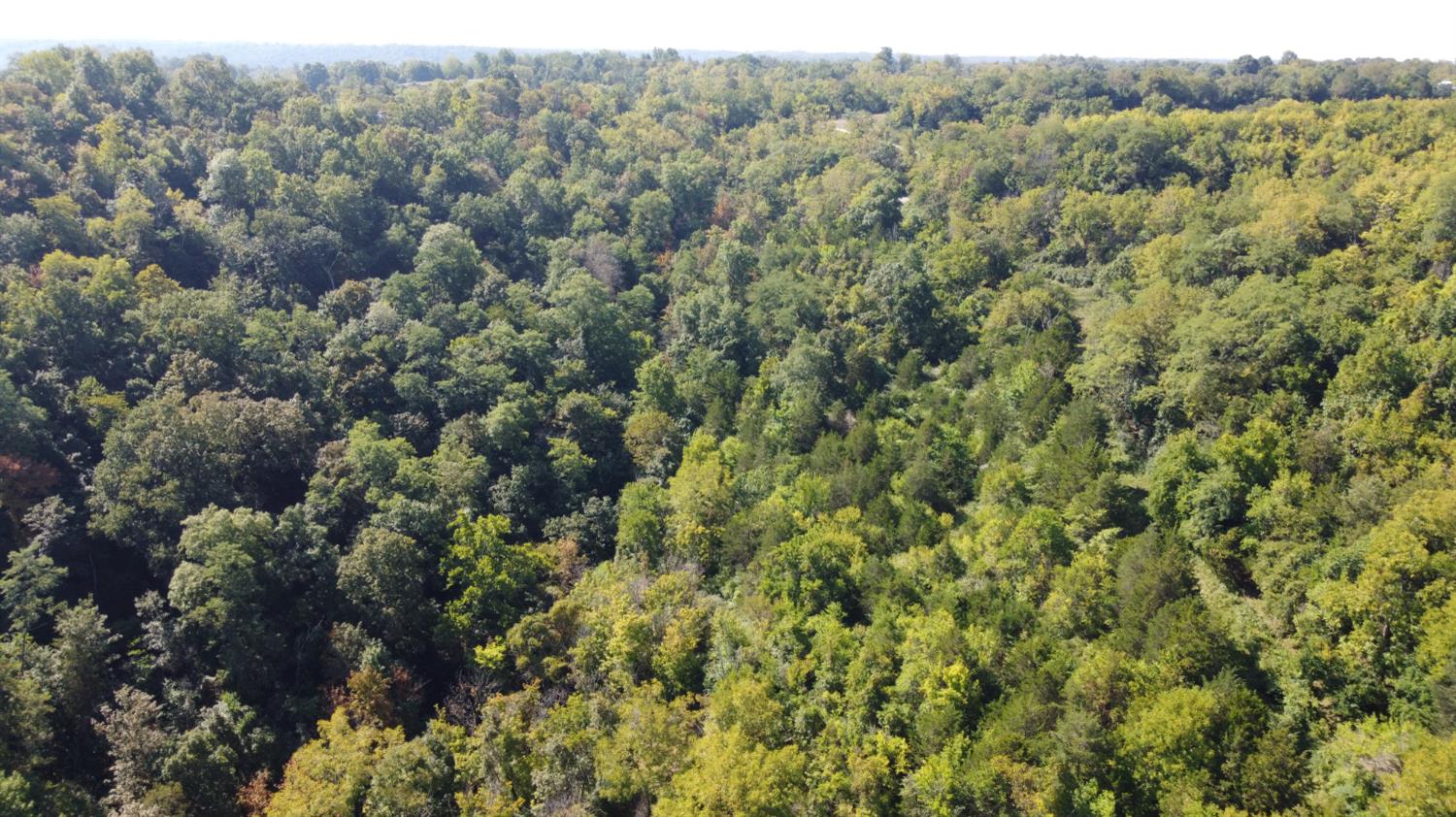 0 West State Road 56 Rising Sun, IN 47040 - Photo 7 of 12