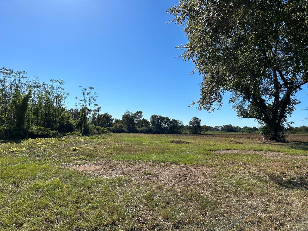 9.481-ac 9.481-ac Road Cottonwood, AL 36320 - Photo 12 of 19