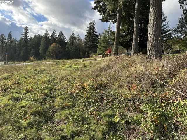 $230,000 | 147 Northeast Bruce Heights, Unit 65, Stevenson, WA 98648