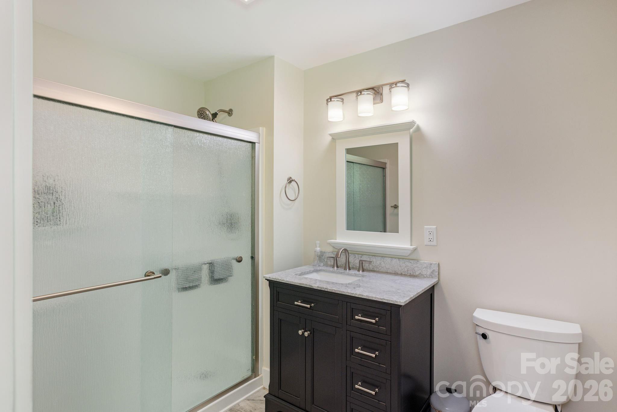 16 School House Road Mills River, NC 28759 - Photo 26 of 48 a bathroom with a sink toilet and shower