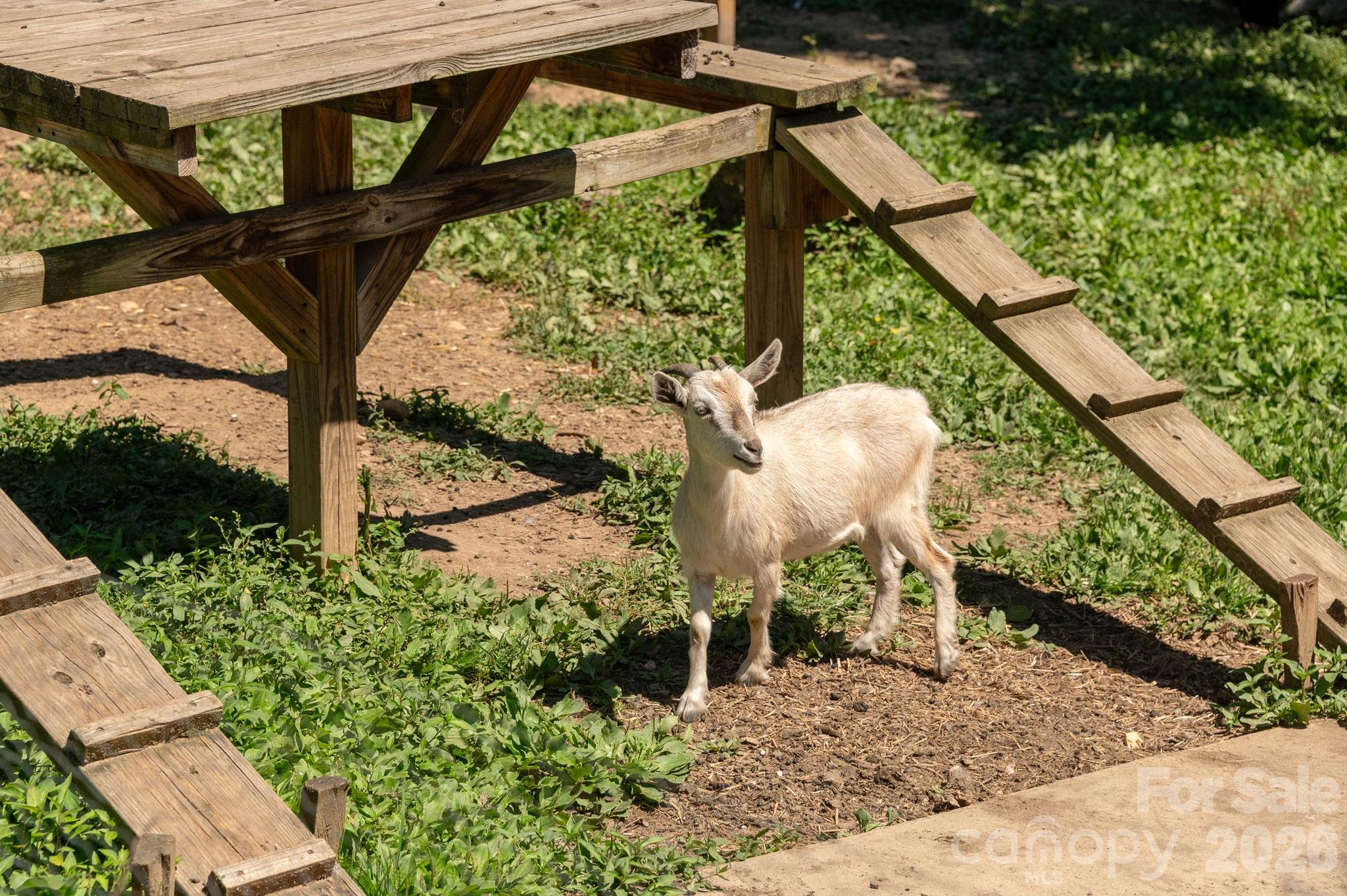 16 School House Road Mills River, NC 28759 - Photo 42 of 48 a view of a backyard with table and chairs potted plants