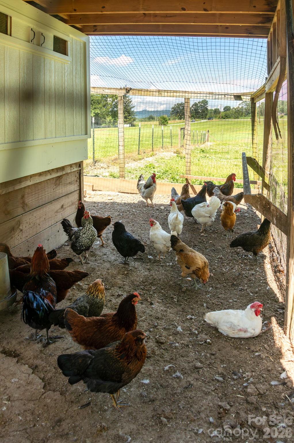 16 School House Road Mills River, NC 28759 - Photo 44 of 48 a room with lots of potted plants