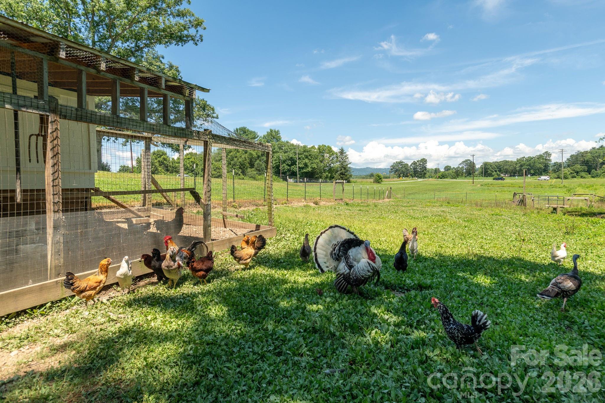 16 School House Road Mills River, NC 28759 - Photo 45 of 48 a view of a lake with a big yard