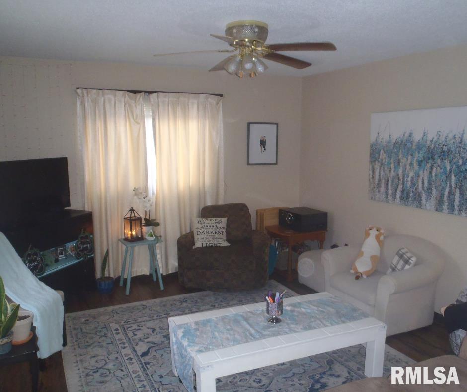 816 Freemans Farm Road Springfield, IL 62704 - Photo 3 of 10