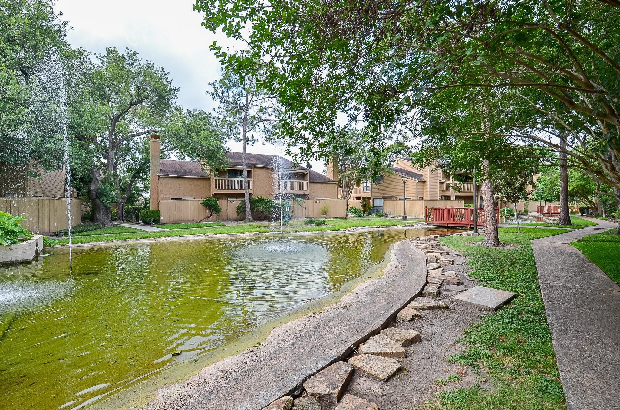 3632 Ocee Street Houston, TX 77063 - Photo 15 of 17 a view of pool with garden and trees