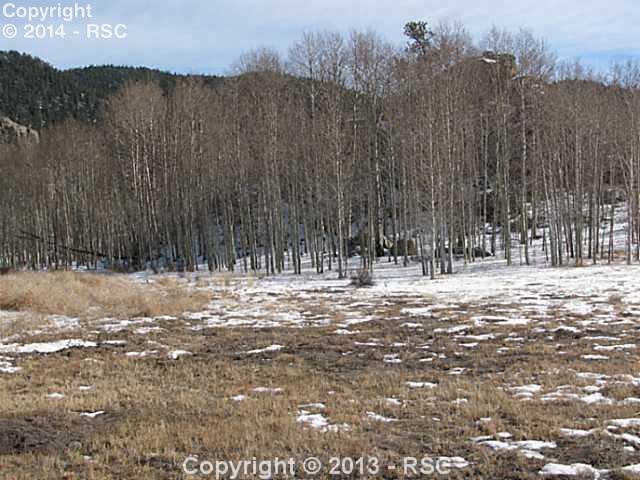 206 Topaz Road Lake George, CO 80827 - Photo 4 of 5 Gallery Image 4