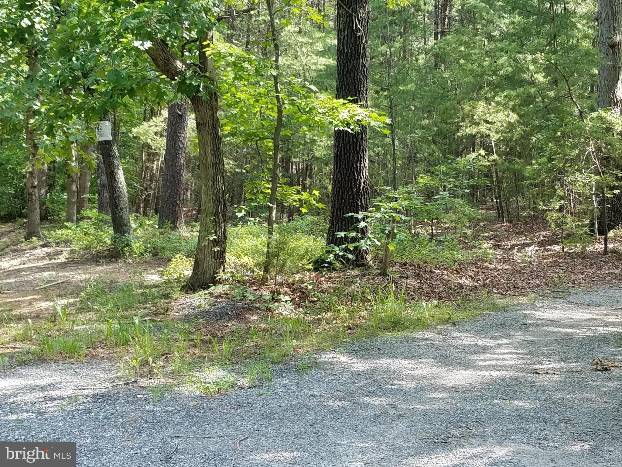 Faulkner Lane Ruther Glen, VA 22546 - Photo 1 of 14 Entry road to Rear of Property off Faulkner Lane.