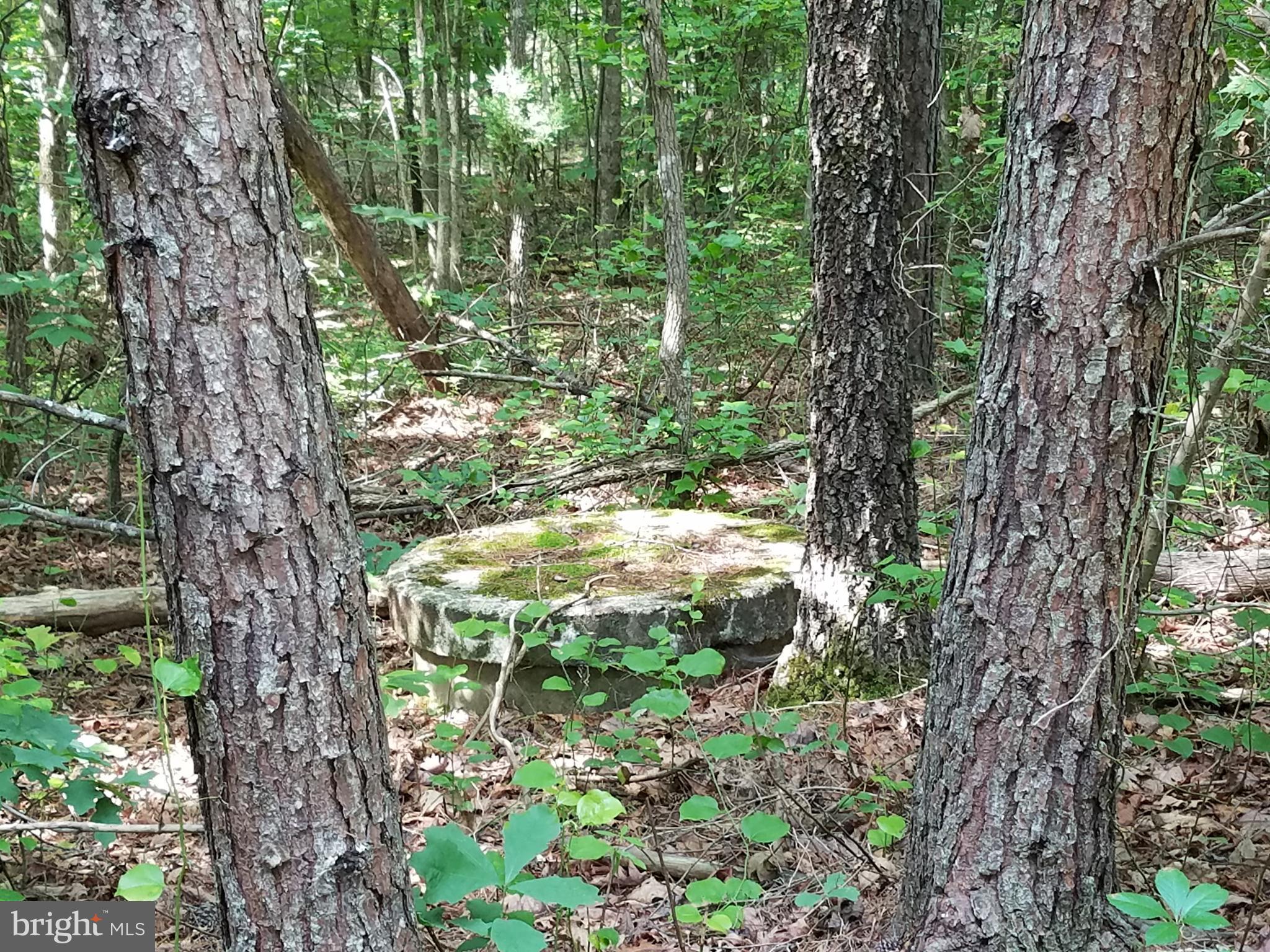 Faulkner Lane Ruther Glen, VA 22546 - Photo 2 of 14 Photo of the well on Property near Faulkner Lane.