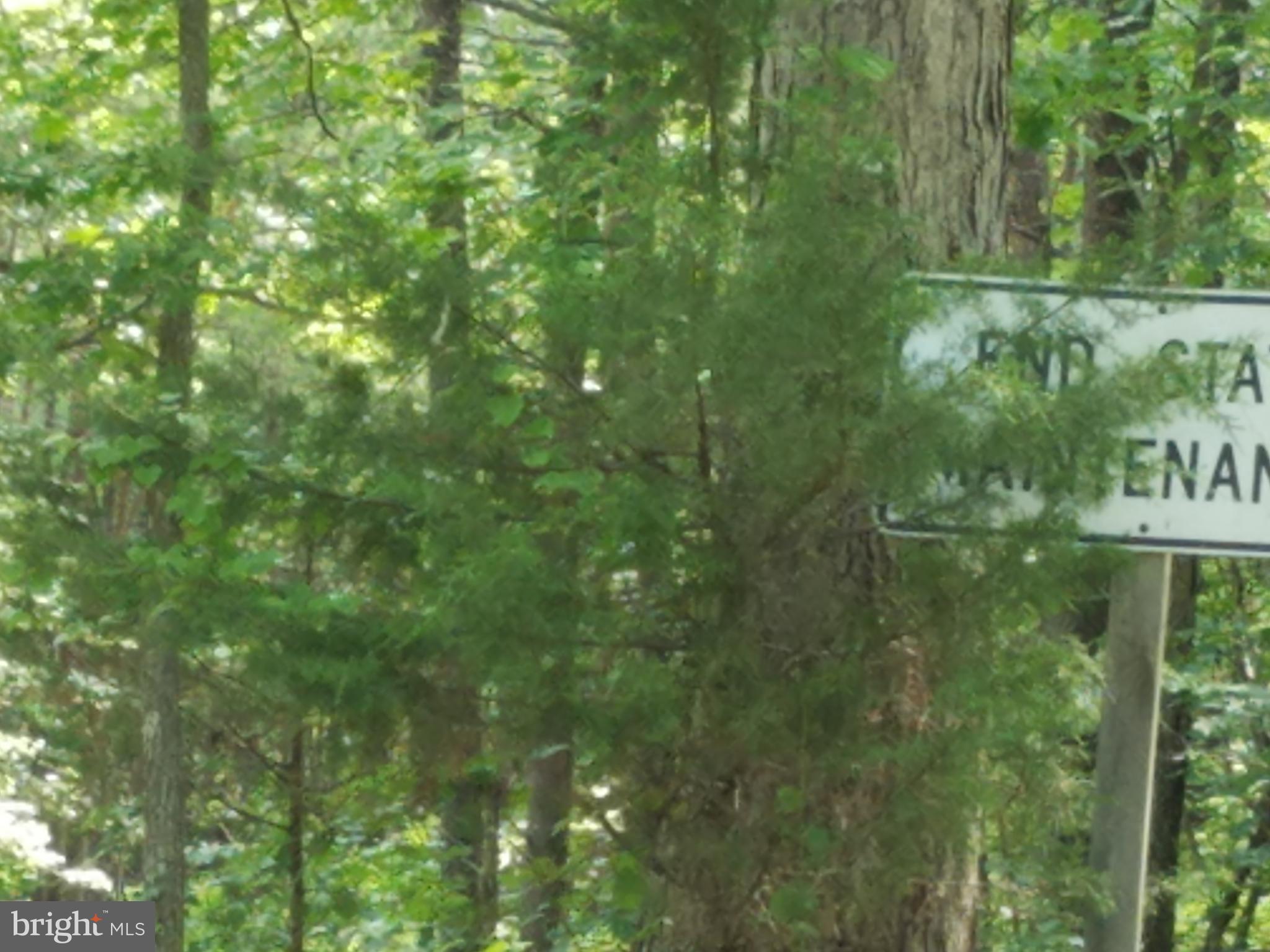 Faulkner Lane Ruther Glen, VA 22546 - Photo 3 of 14 End of Staste Maitnenance Sign entering Property.