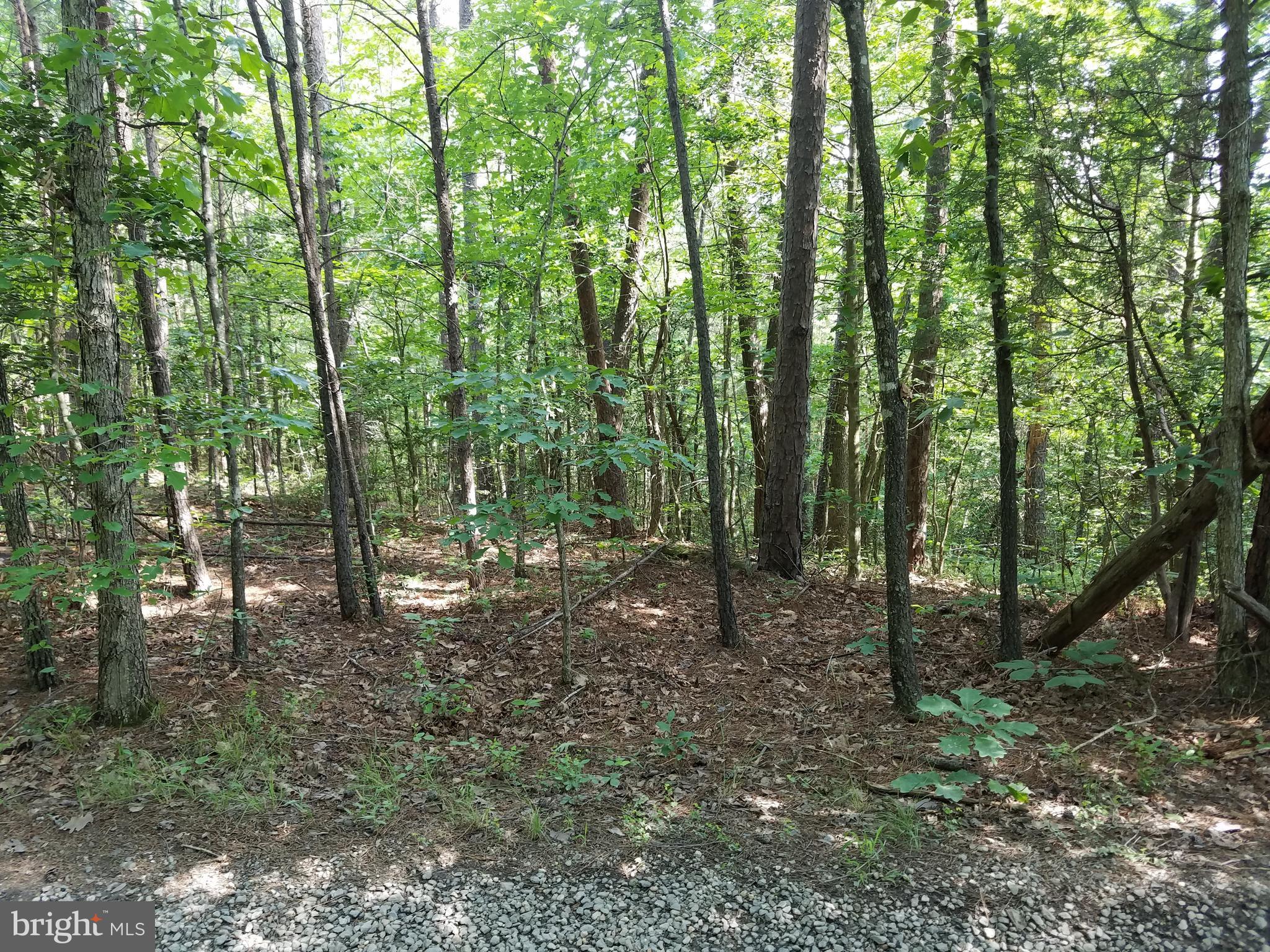 Faulkner Lane Ruther Glen, VA 22546 - Photo 4 of 14 Property Accessed via Faulkner Lane.