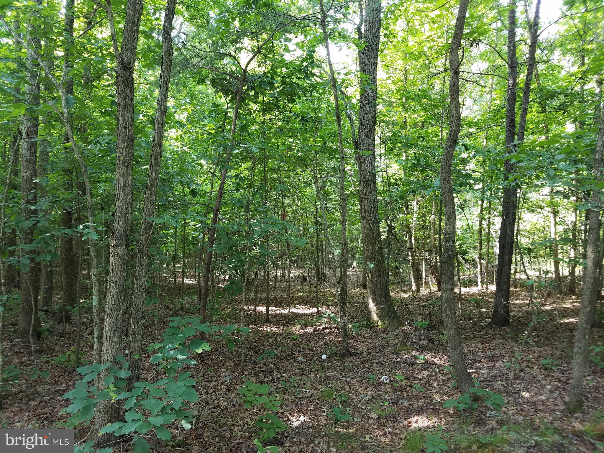 Faulkner Lane Ruther Glen, VA 22546 - Photo 5 of 14 Property Accessed via Faulkner Lane.
