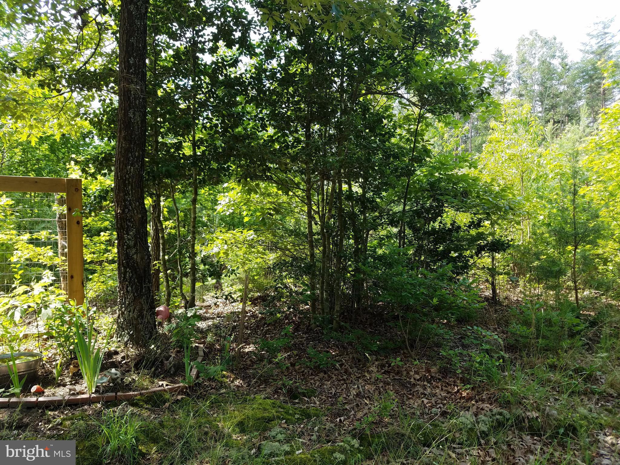 Faulkner Lane Ruther Glen, VA 22546 - Photo 6 of 14 Property Accessed via Faulkner Lane.