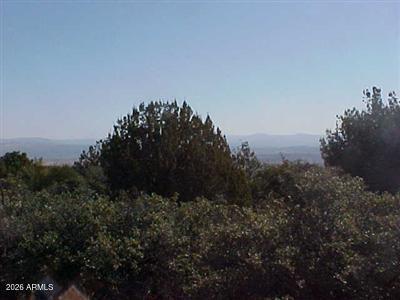 2350 West Quail Springs Ranch Road Cottonwood, AZ 86326 - Photo 22 of 24 a view of a bunch of trees in a field