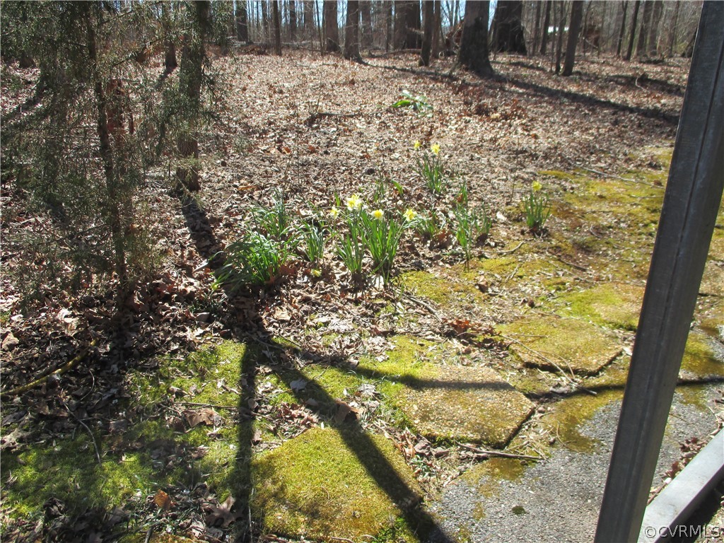 62 Falls Road Victoria, VA 23974 - Photo 14 of 36 a view of a yard with wooden fence