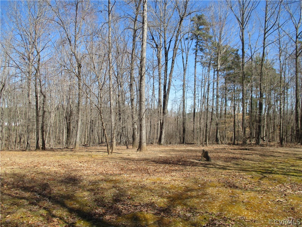 62 Falls Road Victoria, VA 23974 - Photo 15 of 36 a view of outdoor space with trees
