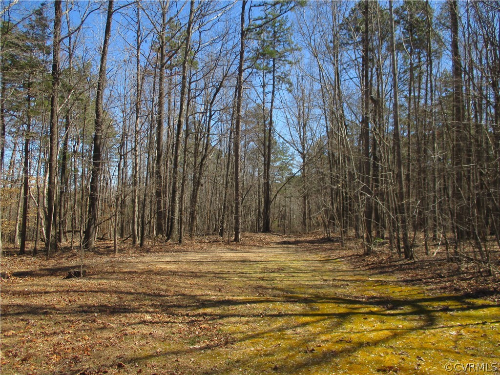 62 Falls Road Victoria, VA 23974 - Photo 16 of 36 a view of outdoor space with water and trees