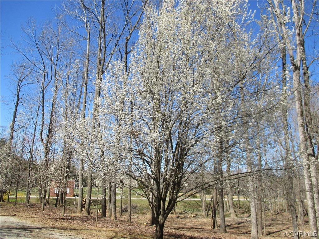 62 Falls Road Victoria, VA 23974 - Photo 18 of 36 a view of road with trees