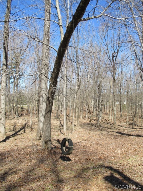 62 Falls Road Victoria, VA 23974 - Photo 19 of 36 a view of yard with wooden fence