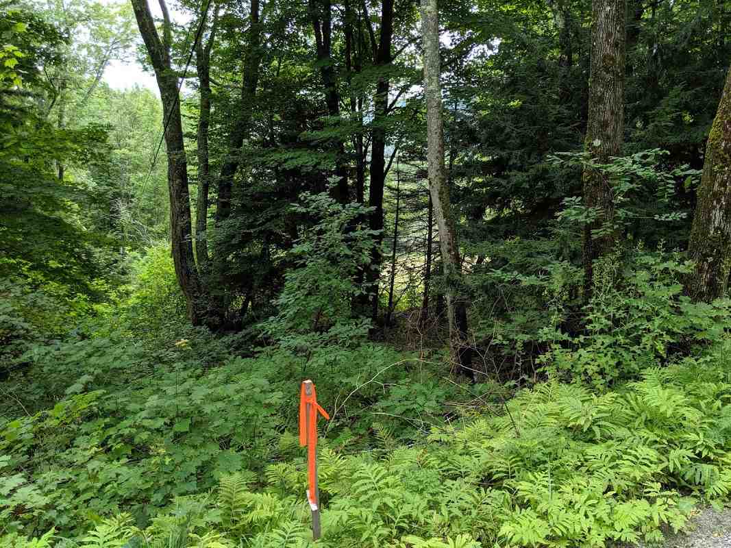 575 Hawk Mountain Road Pittsfield, VT 05762 - Photo 1 of 6
